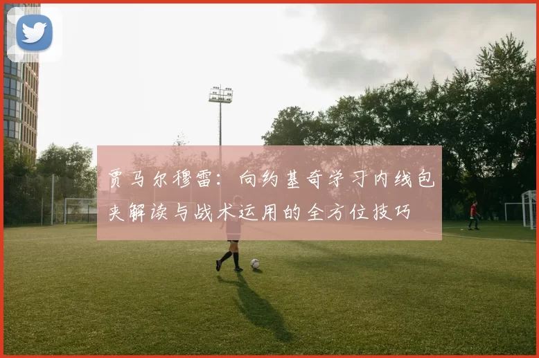 贾马尔穆雷：向约基奇学习内线包夹解读与战术运用的全方位技巧